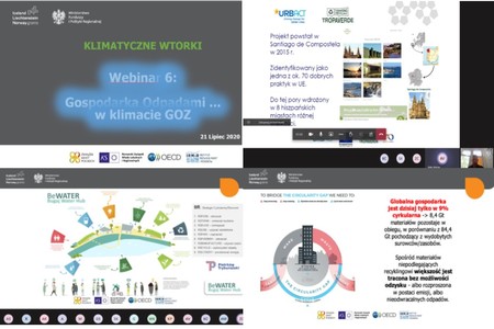 TROPA VERDE na spotkaniu webinarowym organizowanym przez Związek Miast Polskich (ZMP)